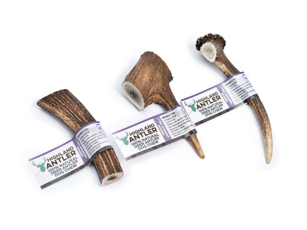 Highland Antler - Antler Medium (75-150g)