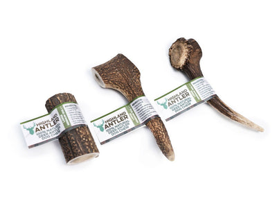Highland Antler - Antler Large (150-220g)