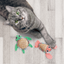 KONG Tropics Pals 2 Pack