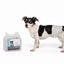 M-PETS Diapers - Male Dog - Large