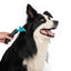 M-PETS Stylus Deshedding Brush - Large