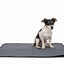 M-PETS Washable Training Pad - Medium