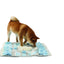 M-PETS Stratege Snuffle Mat - Rectangle