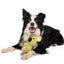 M-PETS Lars Eco Dog Toys
