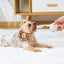 M-PETS Coto White Loop Ball 6.5 Cm