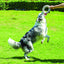 M-PETS Coto White Ring 18 Cm