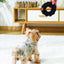 M-PETS Coto Black Ring 13 Cm