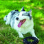 M-PETS Coto Black Ring 18 Cm