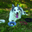 M-PETS Coto Grey Ring 18 Cm