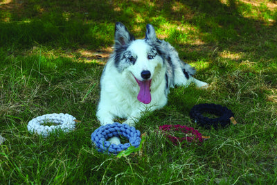 M-PETS Coto Grey Ring 18 Cm