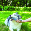 M-PETS Coto Grey Loop Bar 34 Cm