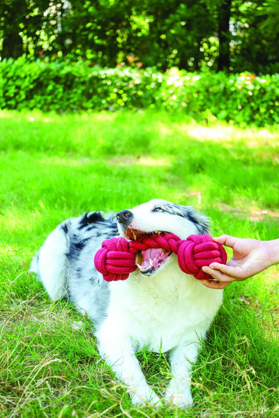 M-PETS Coto Eco Rope Dog Toys Red Duo Ball 28cm