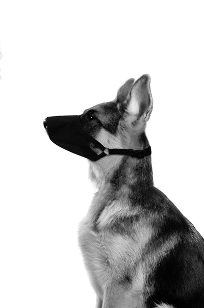 M-PETS Flexi Muzzle Large