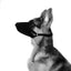 M-PETS Flexi Muzzle Xtra Large