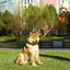 M-PETS Autobrake Retractable Smart Leash -Medium