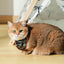 M-PETS Wild Jungle Bandana Xtra Small