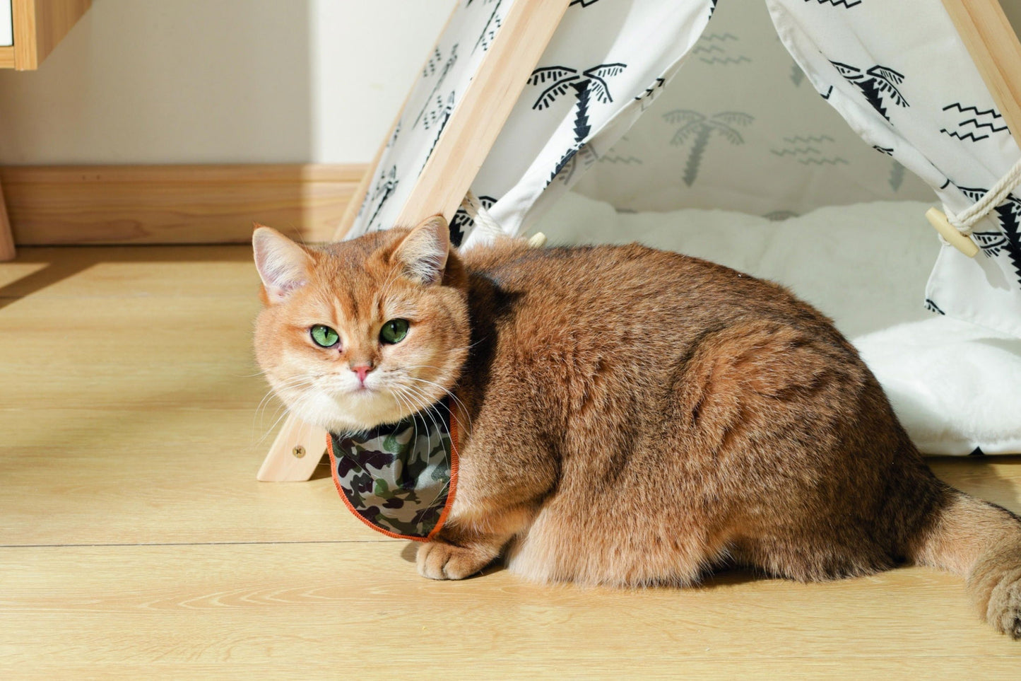 M-PETS Wild Jungle Bandana Xtra Small
