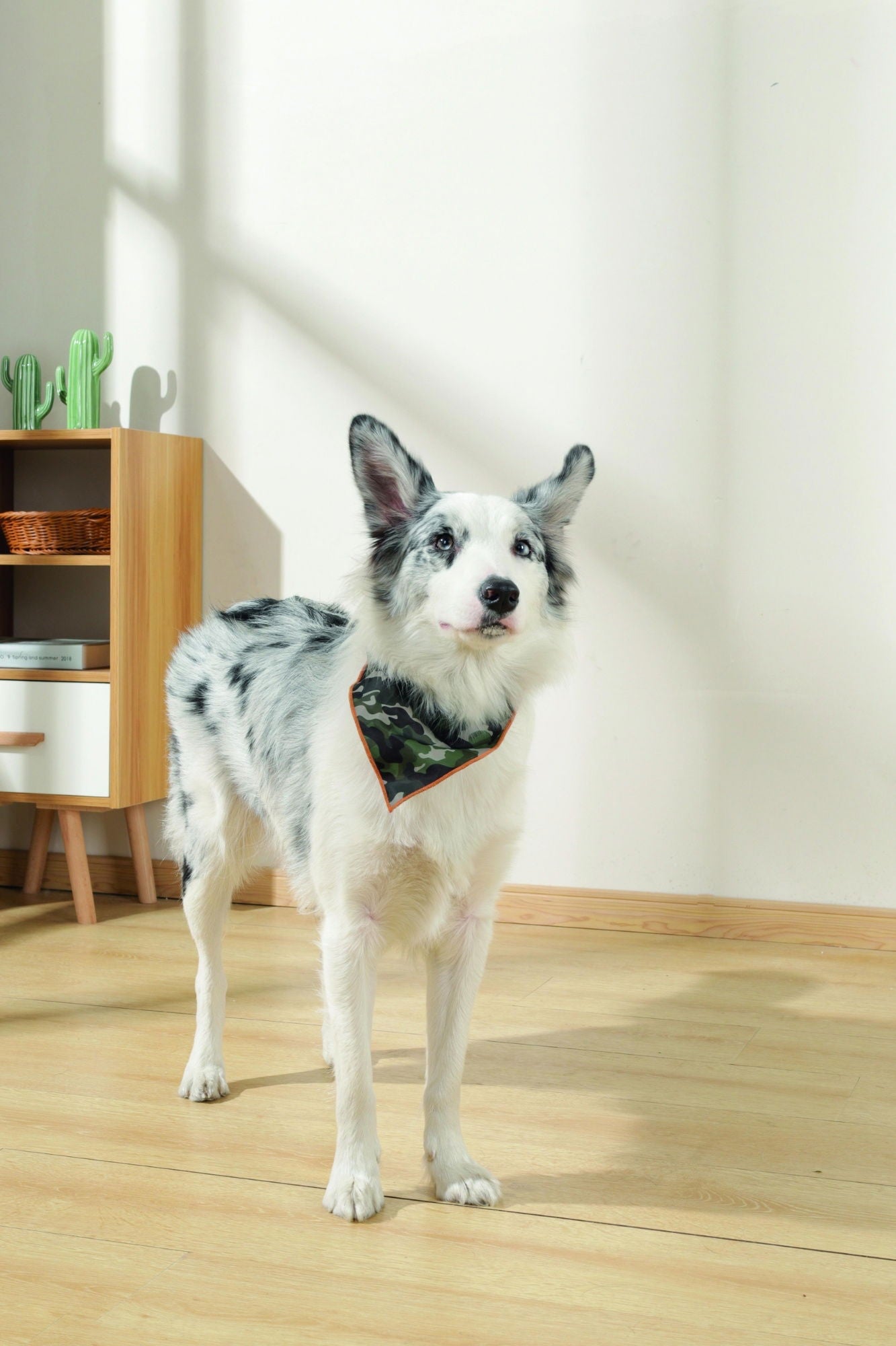 M-PETS Wild Jungle Bandana Medium