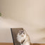M-PETS My Scratchy Cat Cardboard Scratchers - Reno