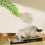 M-PETS My Scratchy Montana Cat Cardboard Scratchers