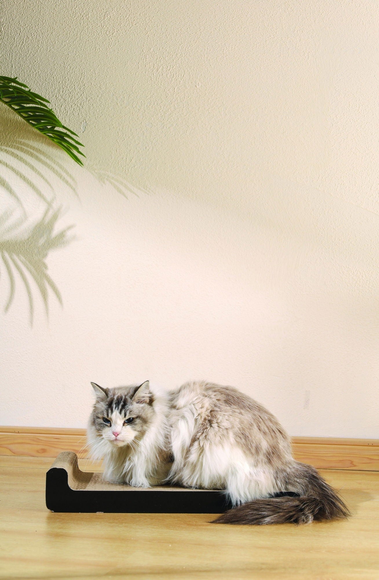 M-PETS My Scratchy Montana Cat Cardboard Scratchers