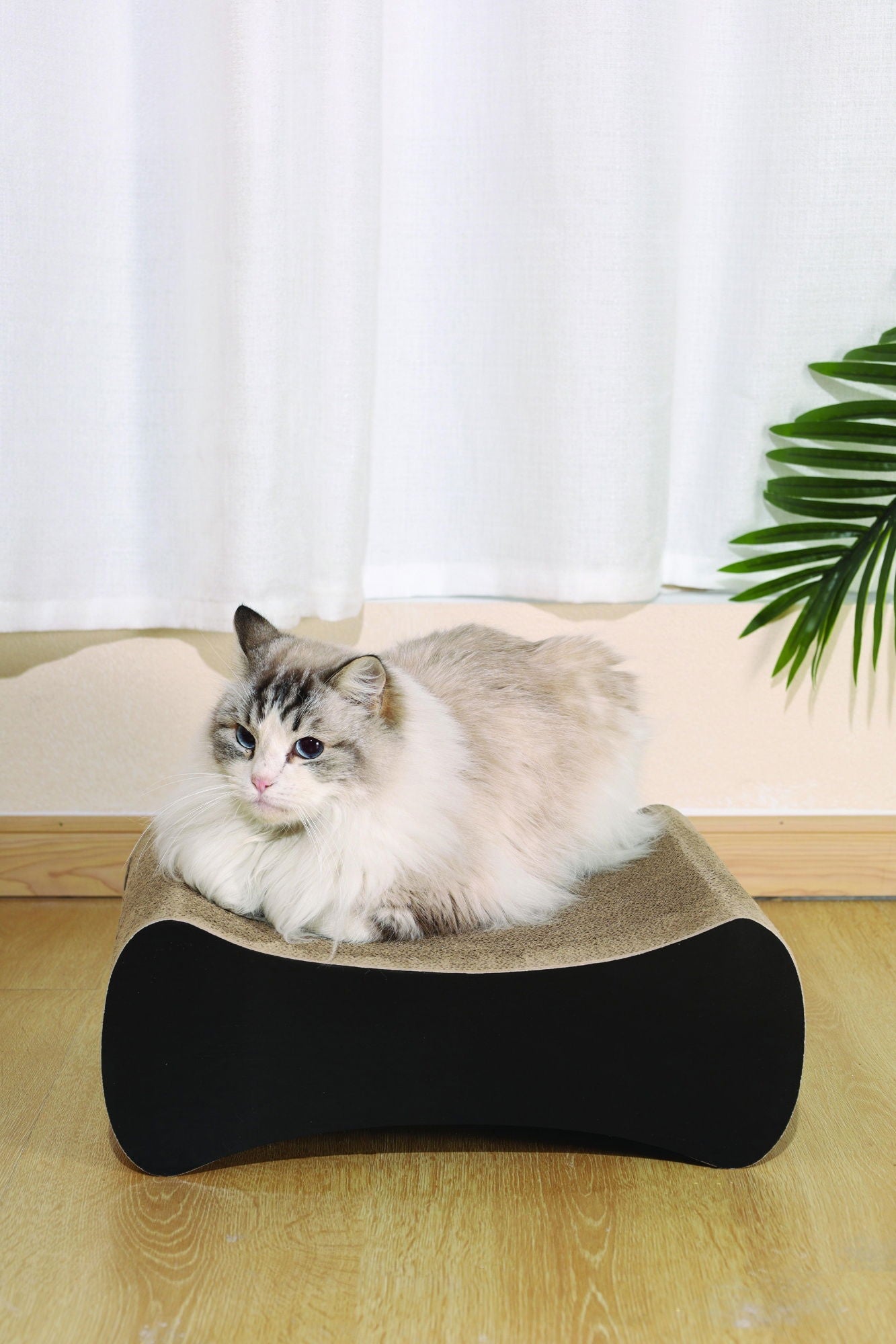 M-PETS My Scratchy Cat Cardboard Scratchers - Columbia