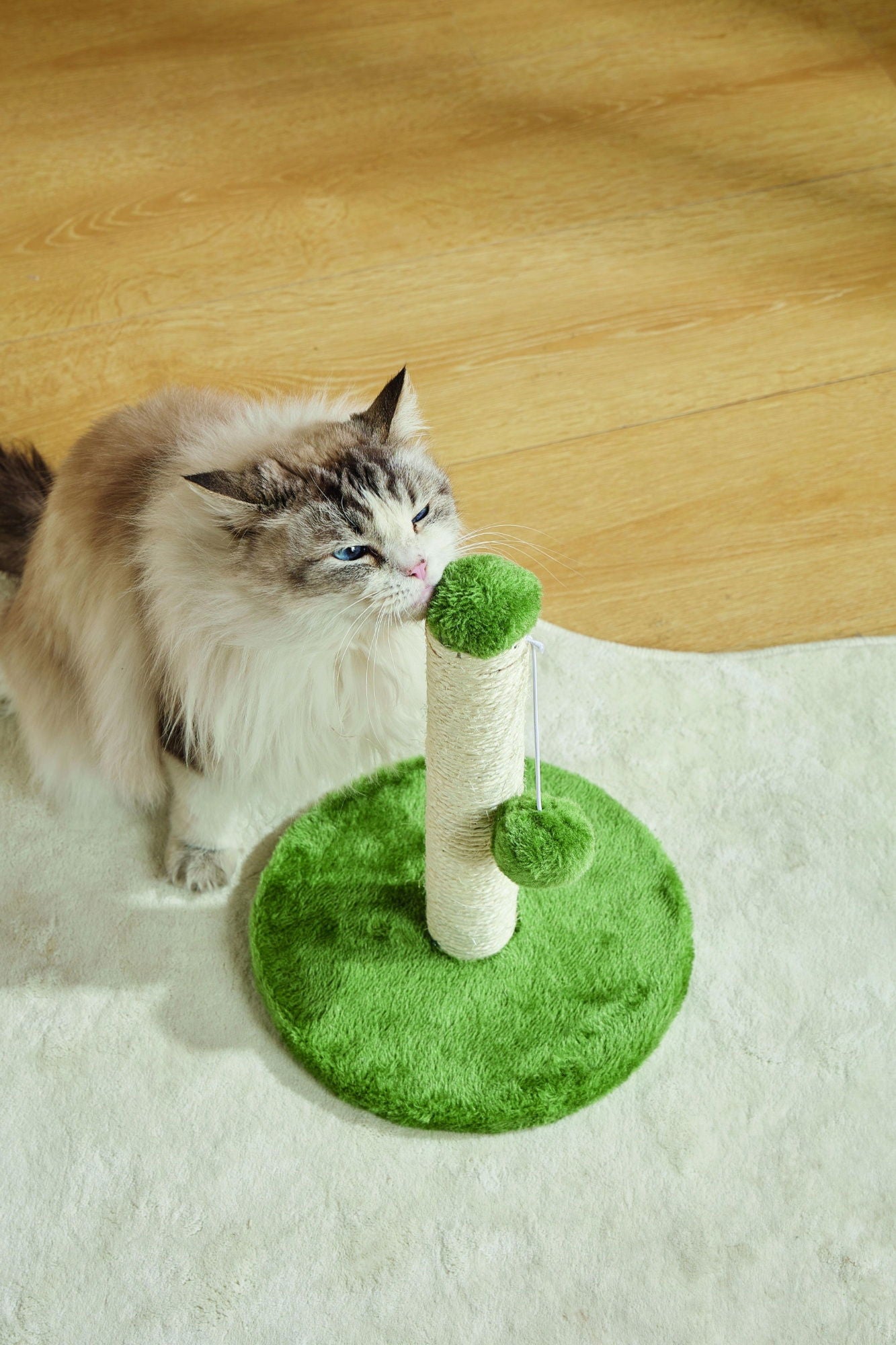 M-PETS My First Cat Tree Pompom Green