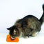 M-PETS Lecca Mat Orange Medium
