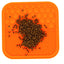 M-PETS Lecca Mat Orange Medium
