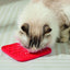M-PETS Lecca Mat Red Small