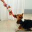M-PETS Eco Dog Toy Zia