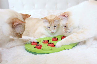 Nina Ottosson Puzzle & Play Buggin Out Green