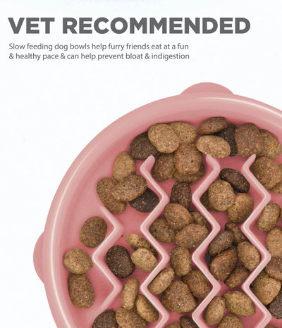 Outward Hound Fun Feeder Wave Pink Sml