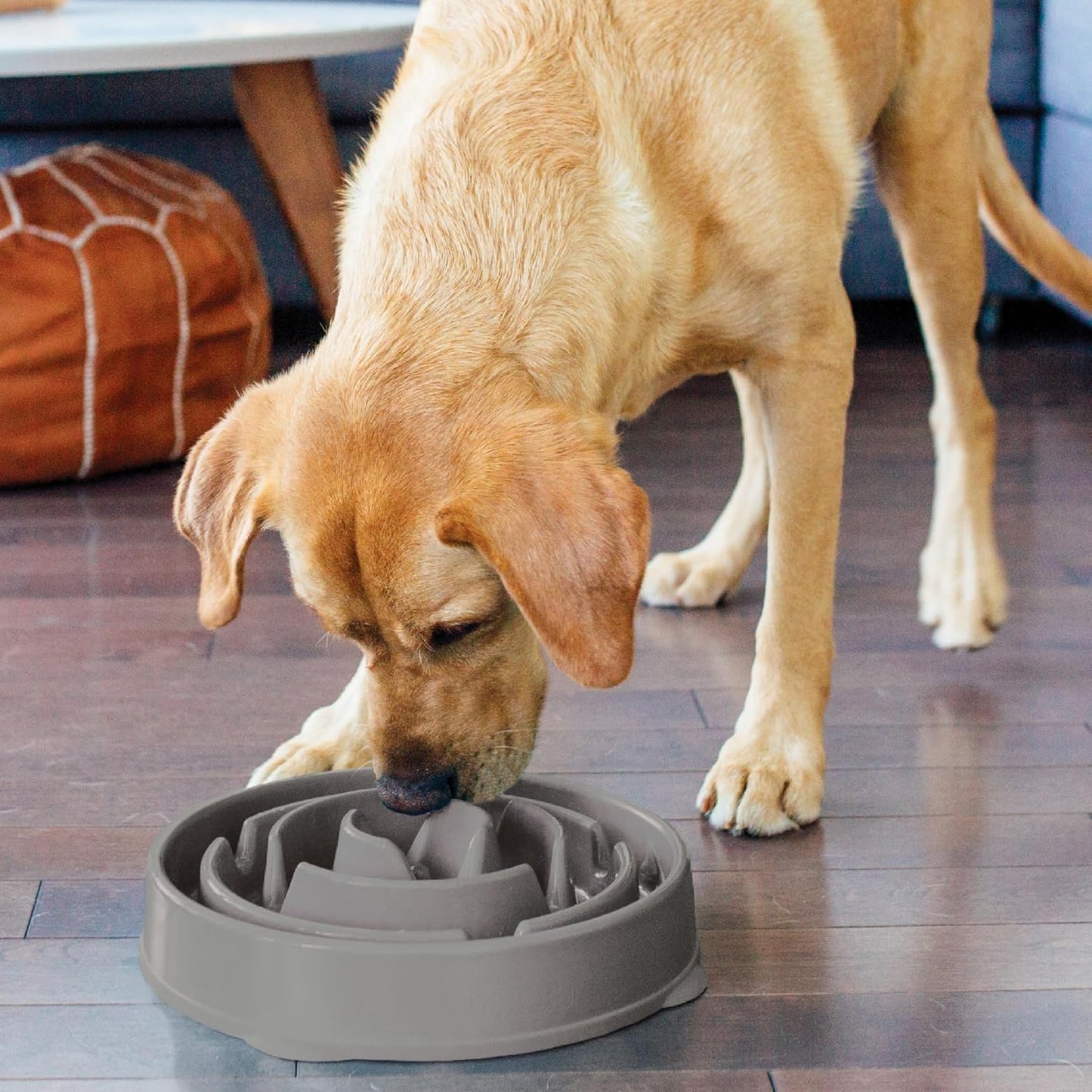 Outward Hound Fun Feeder Drop Grey Lrg