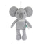 tufflove Koala Medium