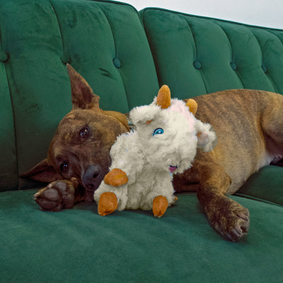 KONG Comfort Tykes Goat Dog Toy - Small