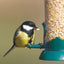 RSPB No Grow Ground Mix - 900g