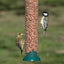 RSPB Premium Peanuts - 900g