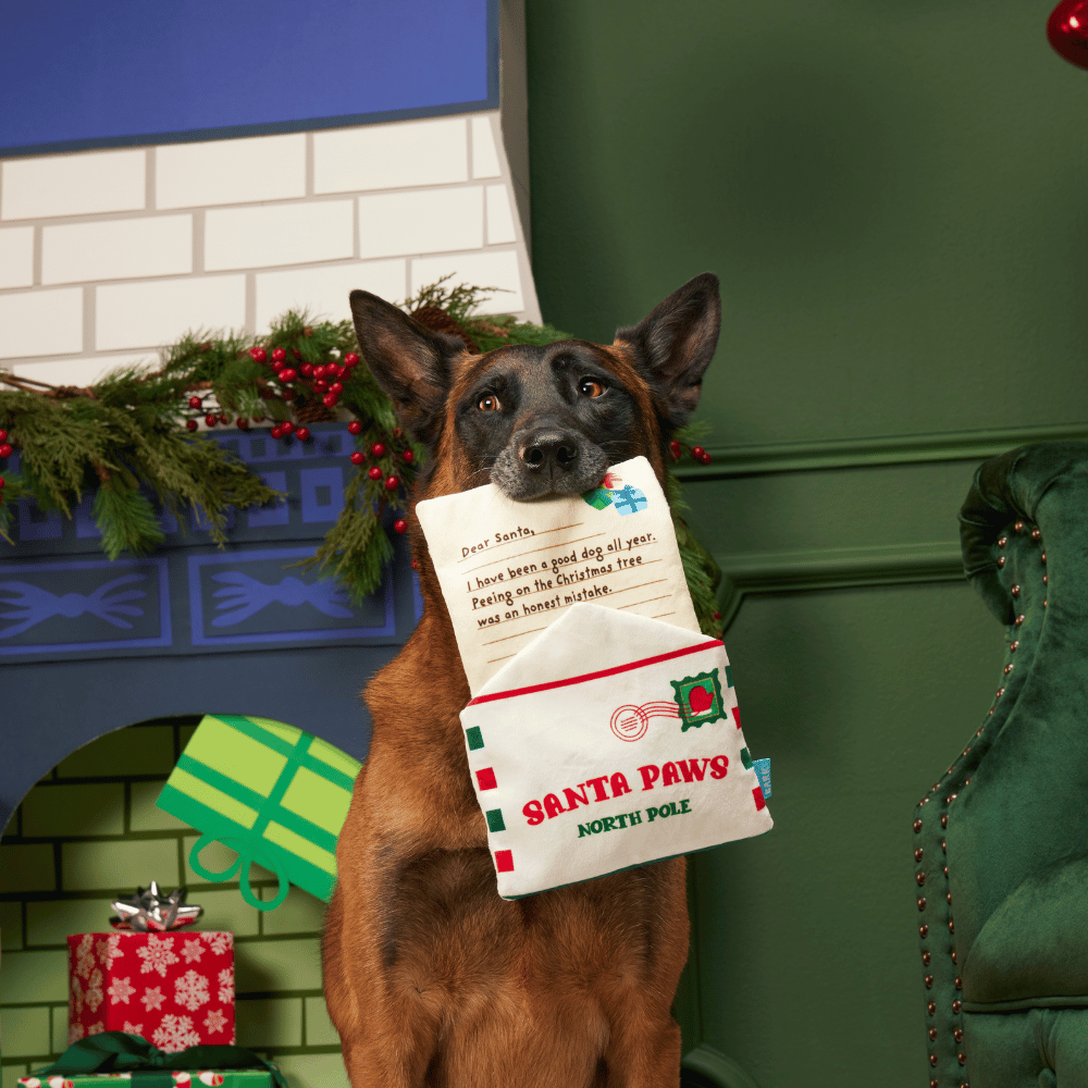 BARK Xmas Letter To Santa Paws