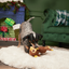 BARK Xmas Splootolph