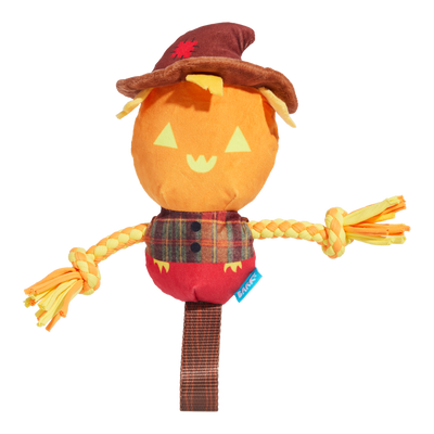 BARK Halloween Jack-Crow-Lantern
