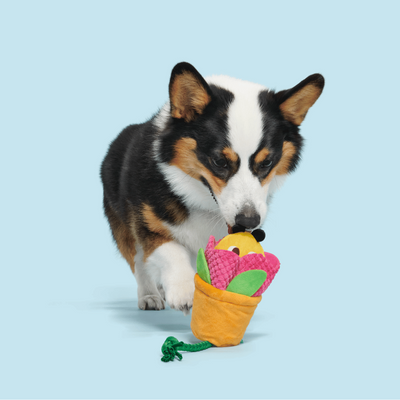 Bark Pollen Nate Dog Toy