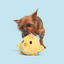 Bark Lil’ Hennifer Dog Toy