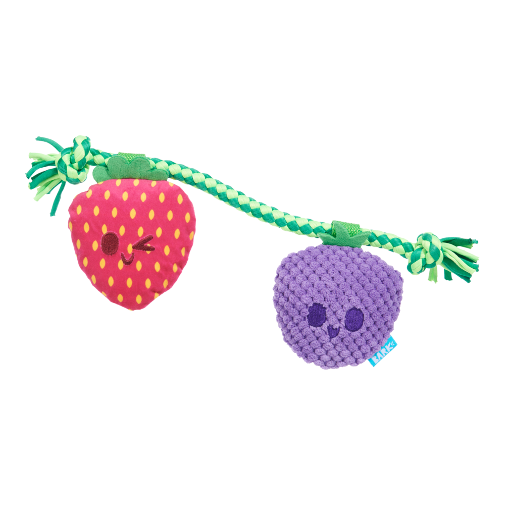 Bark Best Berry Friends Dog Toy