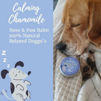 Nilaqua Paw & Nose Balm - Calming Chamomile - 30g