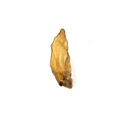 T Forrest Small Buffalo Ear x60