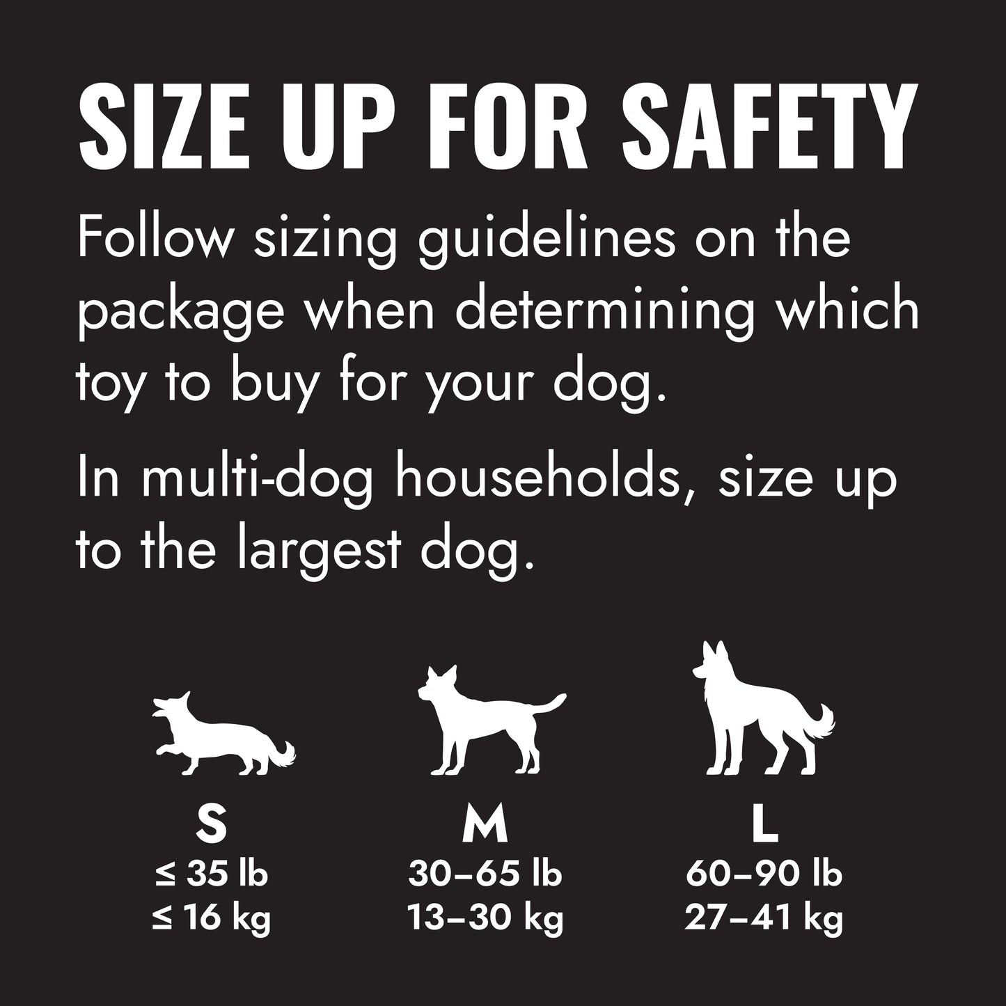 KONG Extreme Ball with Hole - Large