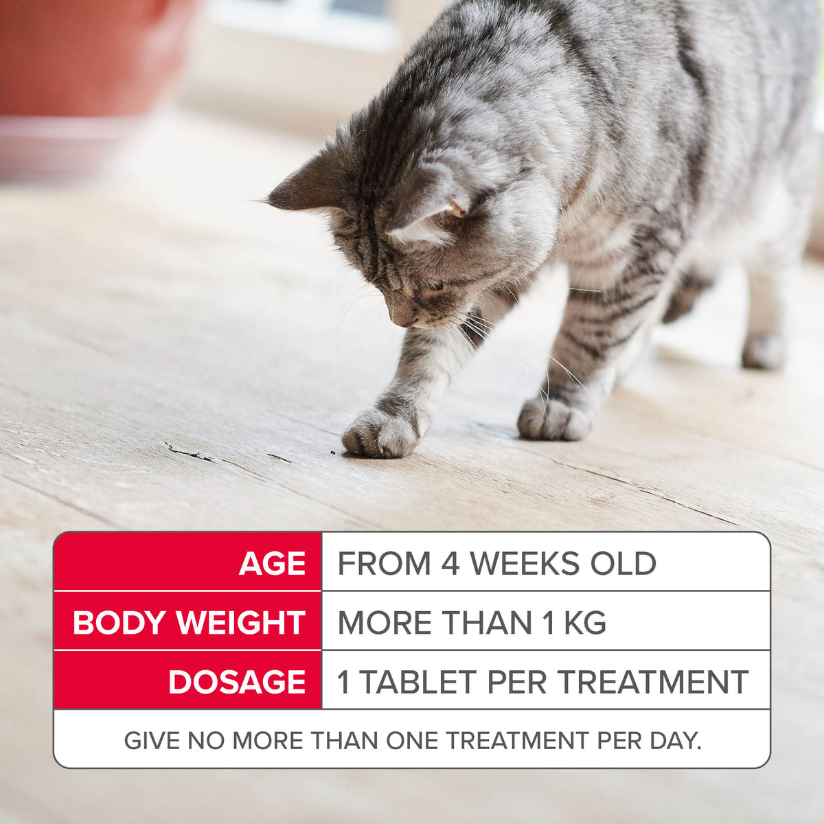 Beaphar Flea Tablets for Cats - 3 Tablets – Vital Pet Group