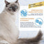 Churu Skin&Coat 4 Pack Tuna with Scallop Recipe