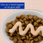 Churu for Kitten 4 Pack Tuna Recipe